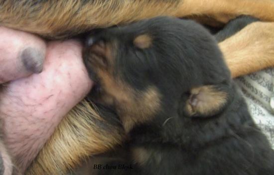 pour prendre des forces