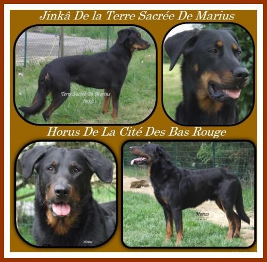 Fba5f0c9822b6d5a990135f1adb9e498 copie